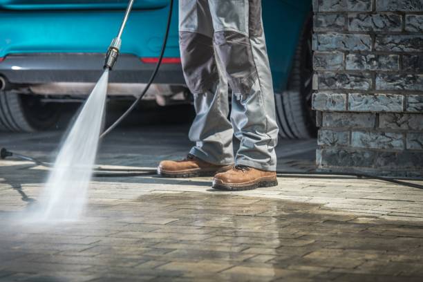 Best Building Exterior Washing  in West Homestead, PA