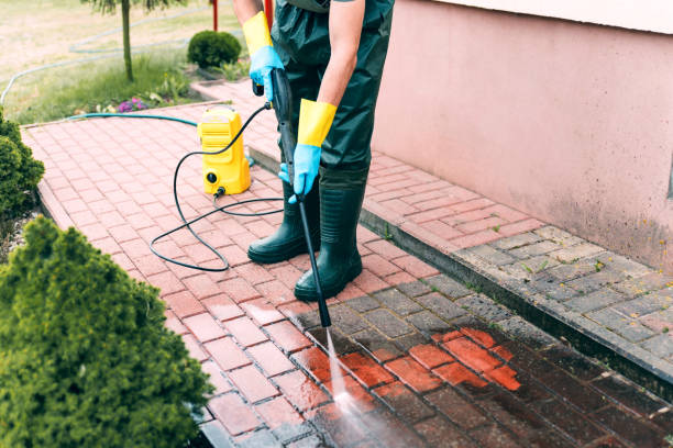 Best Patio and Deck Pressure Washing  in West Homestead, PA