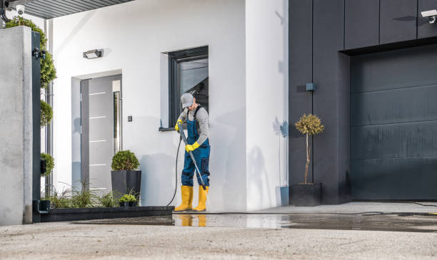 Best Sidewalk and Walkway Cleaning  in West Homestead, PA